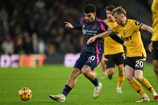 职业发展和 职业发展和